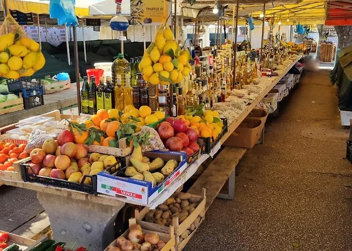 شقة Leo تروغير